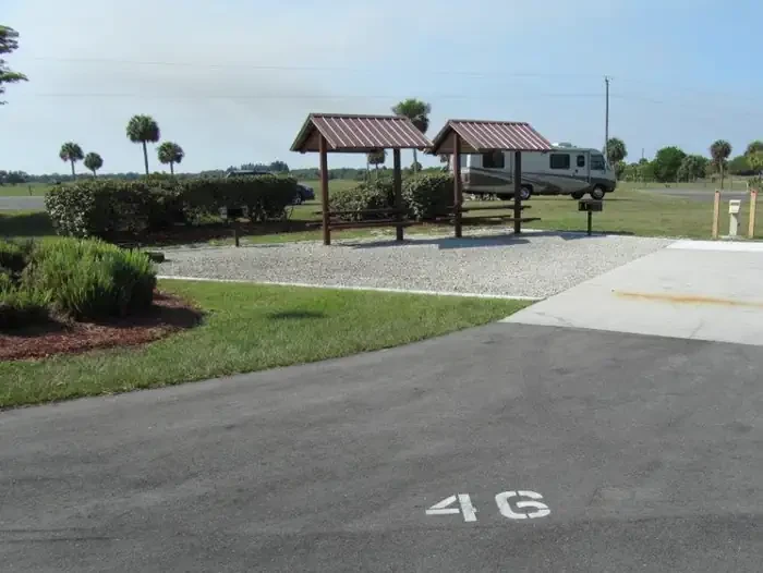 46