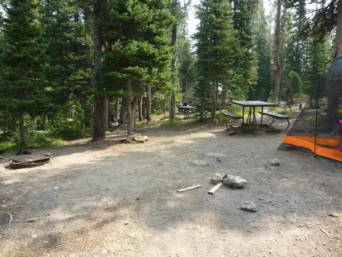 Lewis Lake site #59