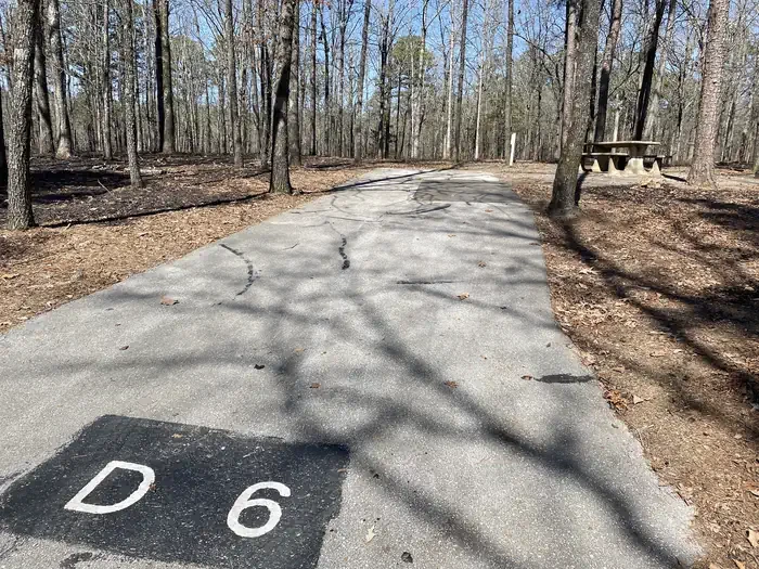 D06