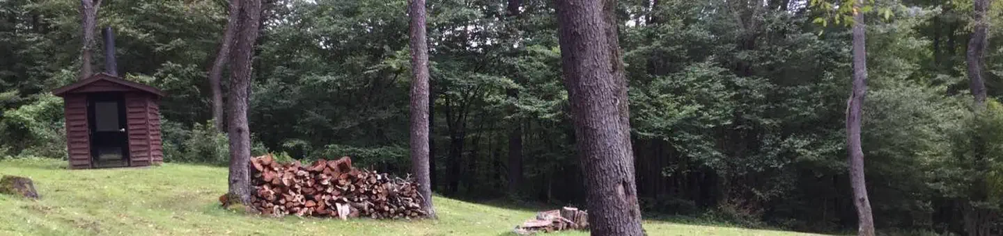 UGA