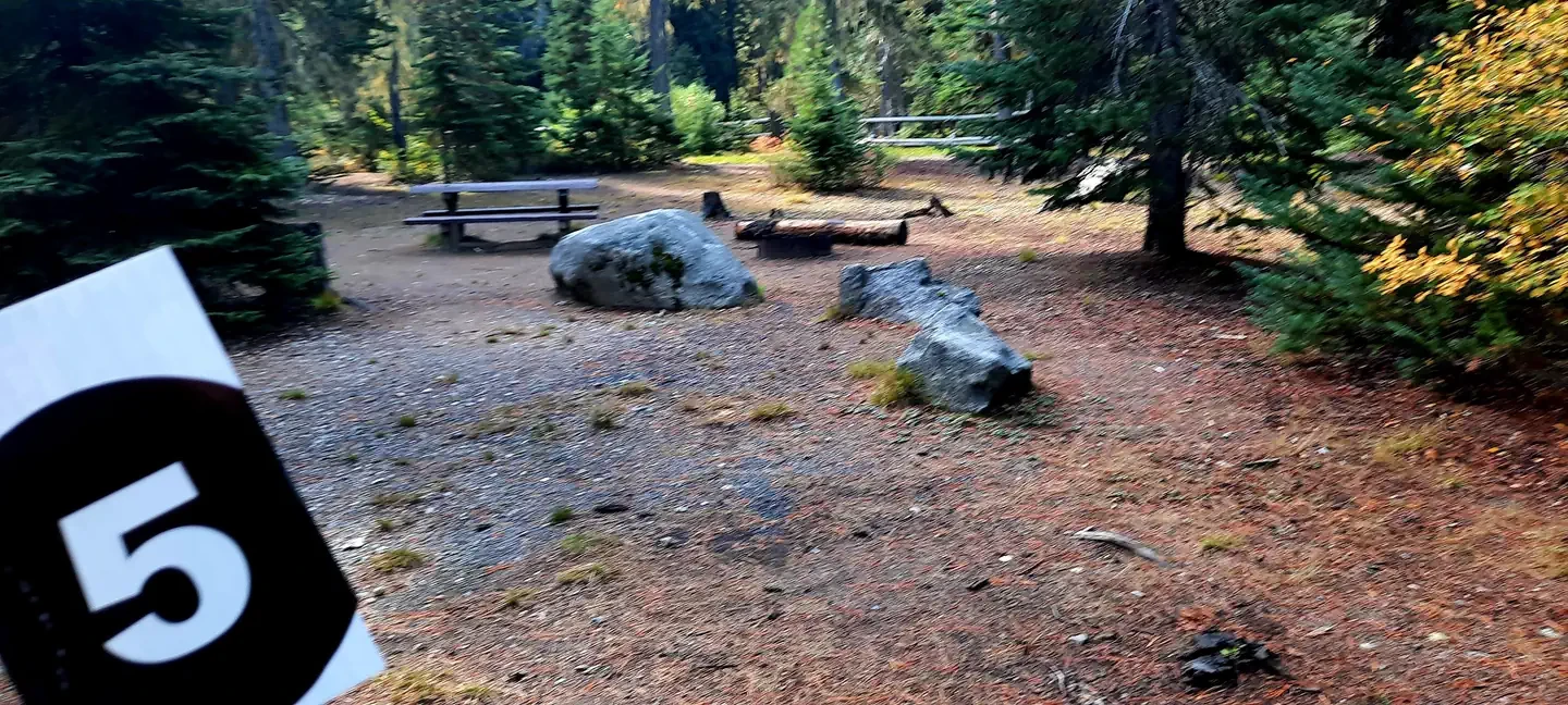 Schaefer Creek