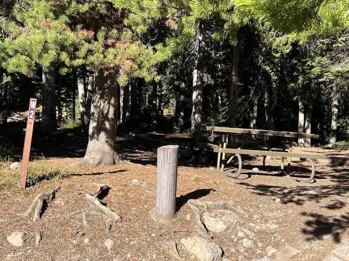 Lewis Lake site #2