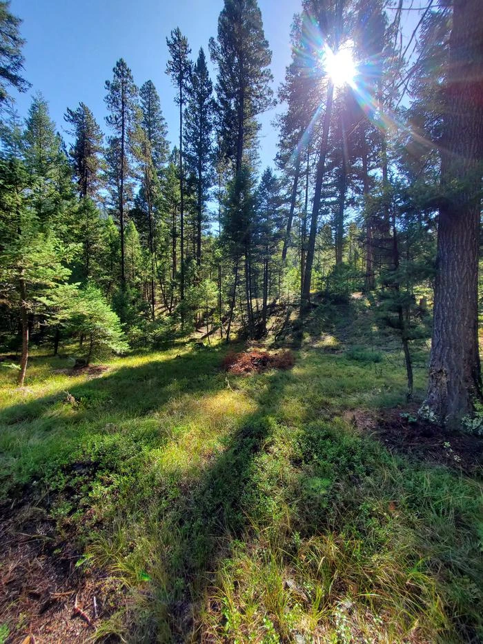 Alta Campground