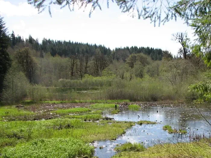 Brown Creek Campground