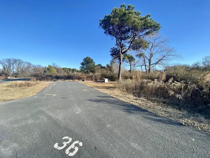 B36