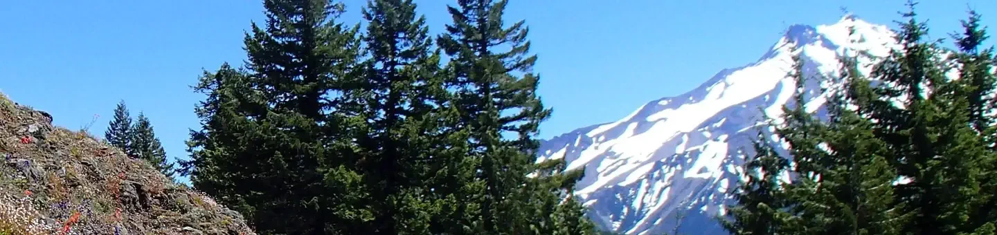 Mt. Jefferson - Breitenbush Trailhead