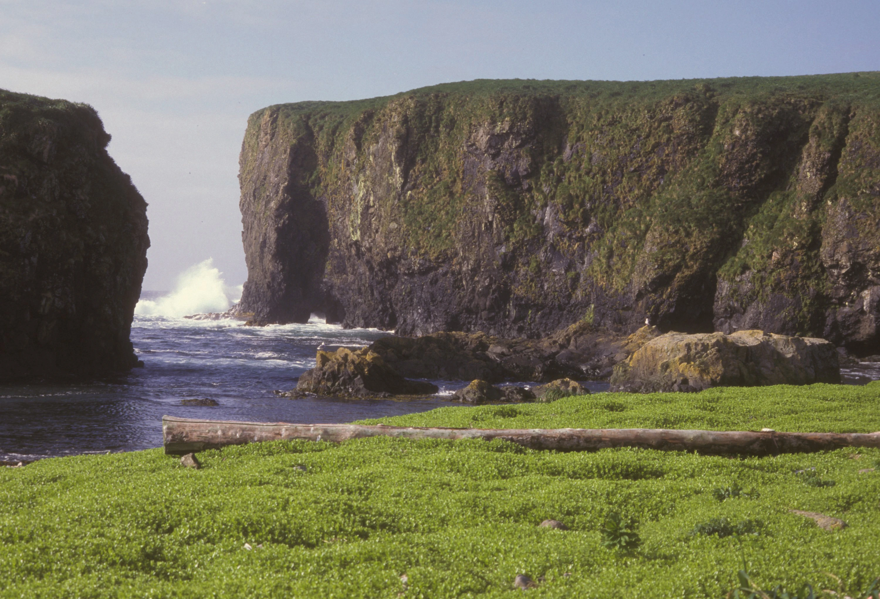 Aleutian Islands Wilderness