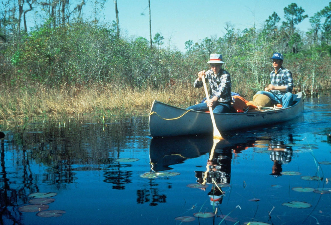 Okefenokee Wilderness