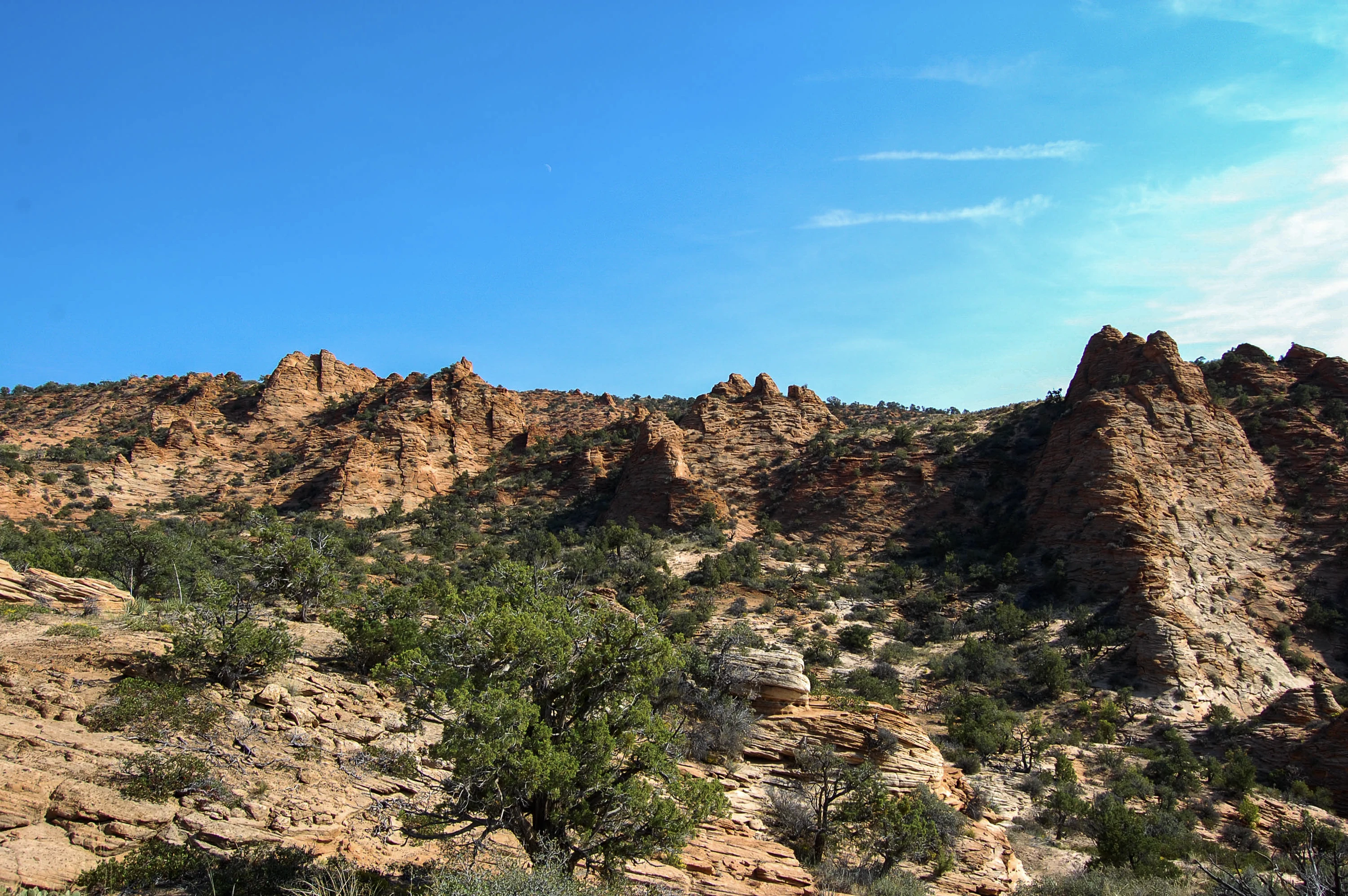 Cottonwood Point Wilderness