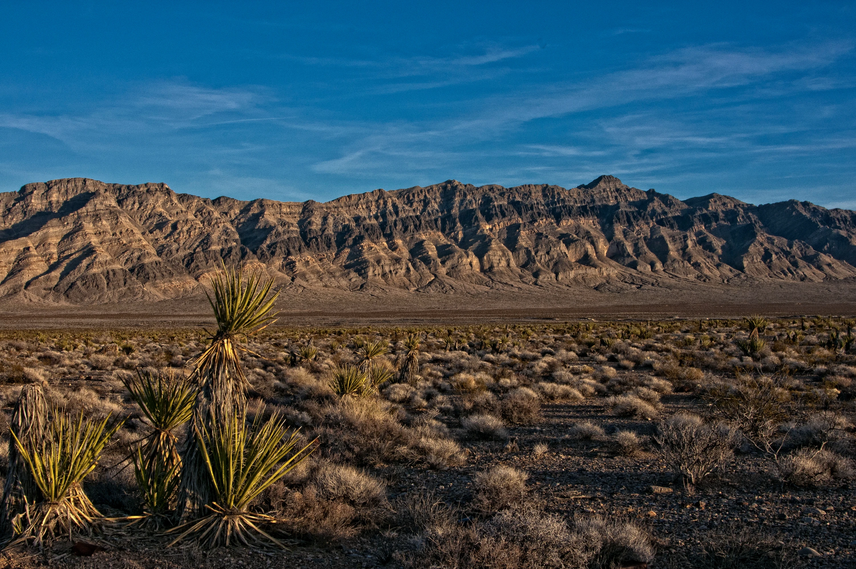 Arrow Canyon Wilderness