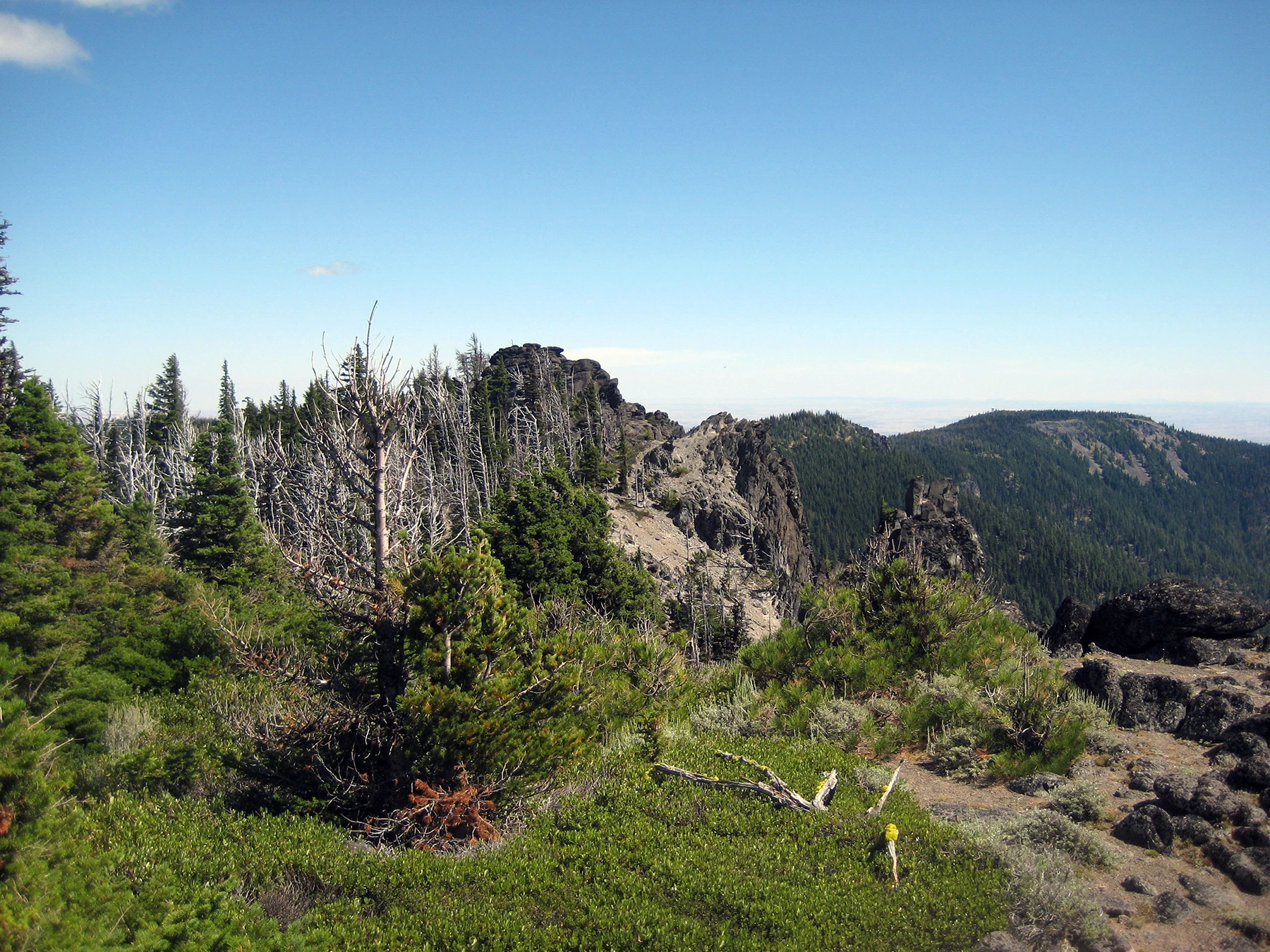Badger Creek Wilderness