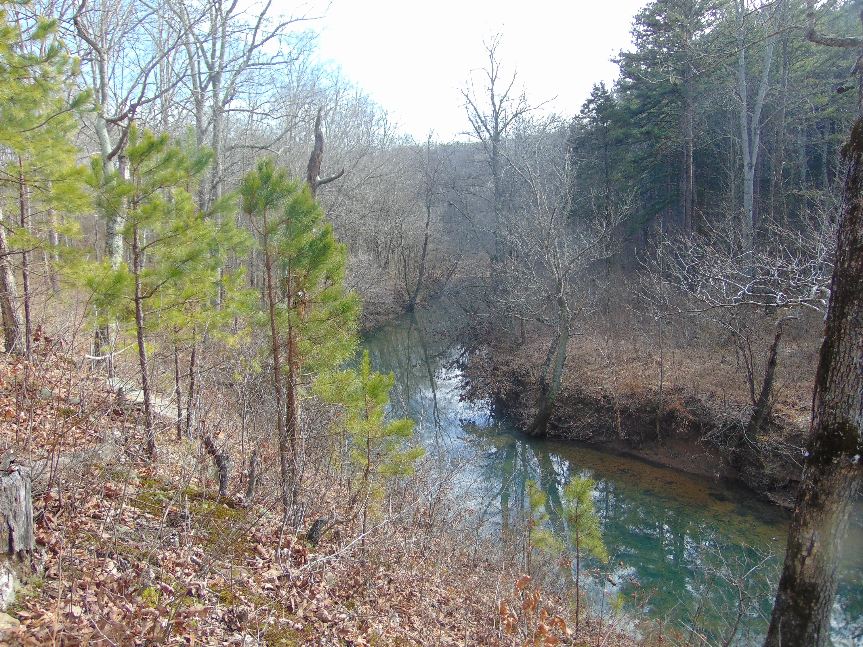 Bay Creek Wilderness
