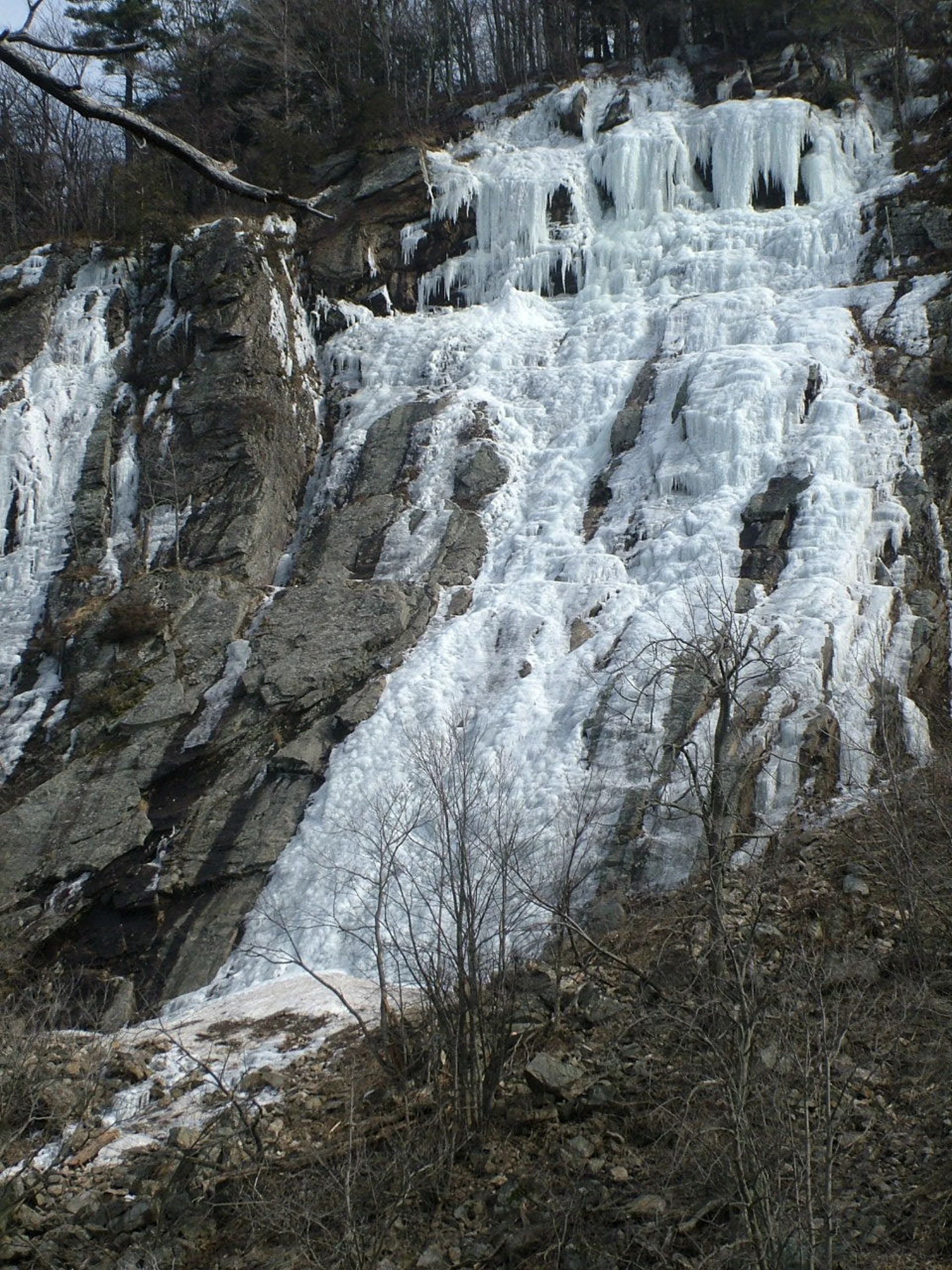 Bristol Cliffs Wilderness
