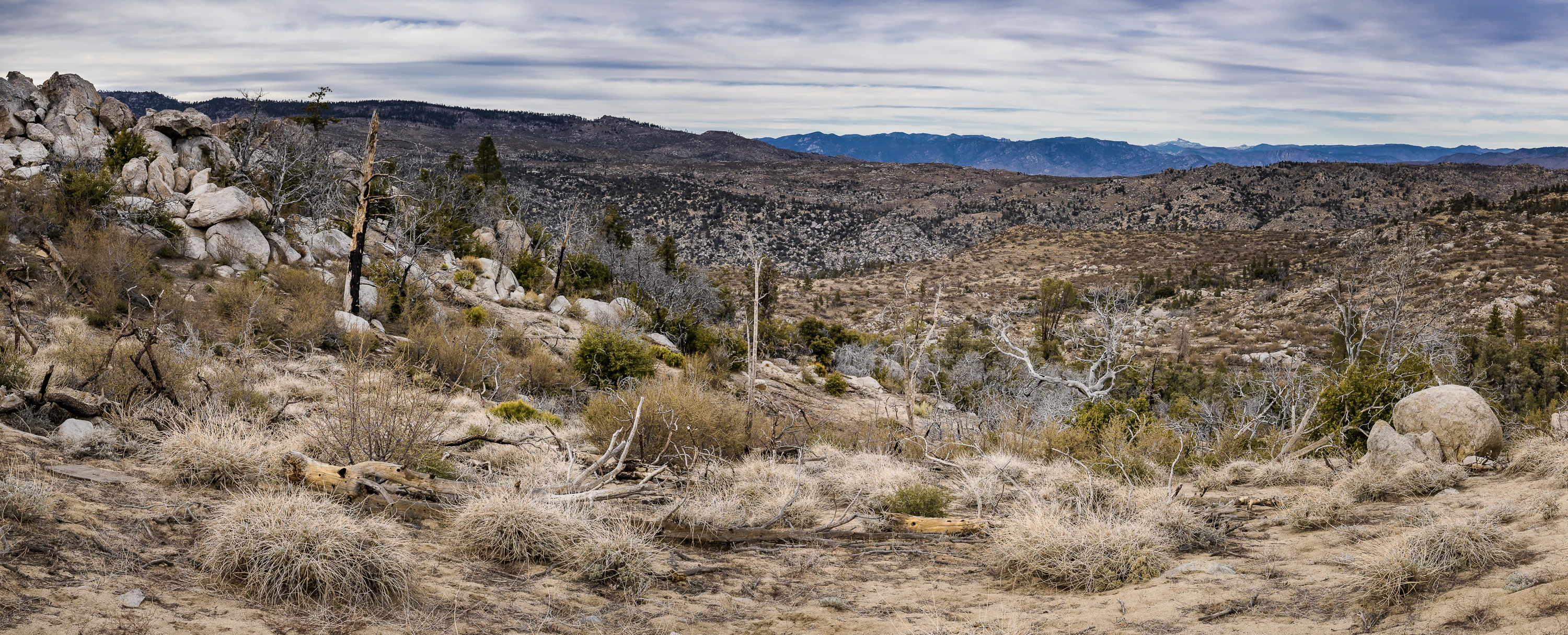 Bright Star Wilderness