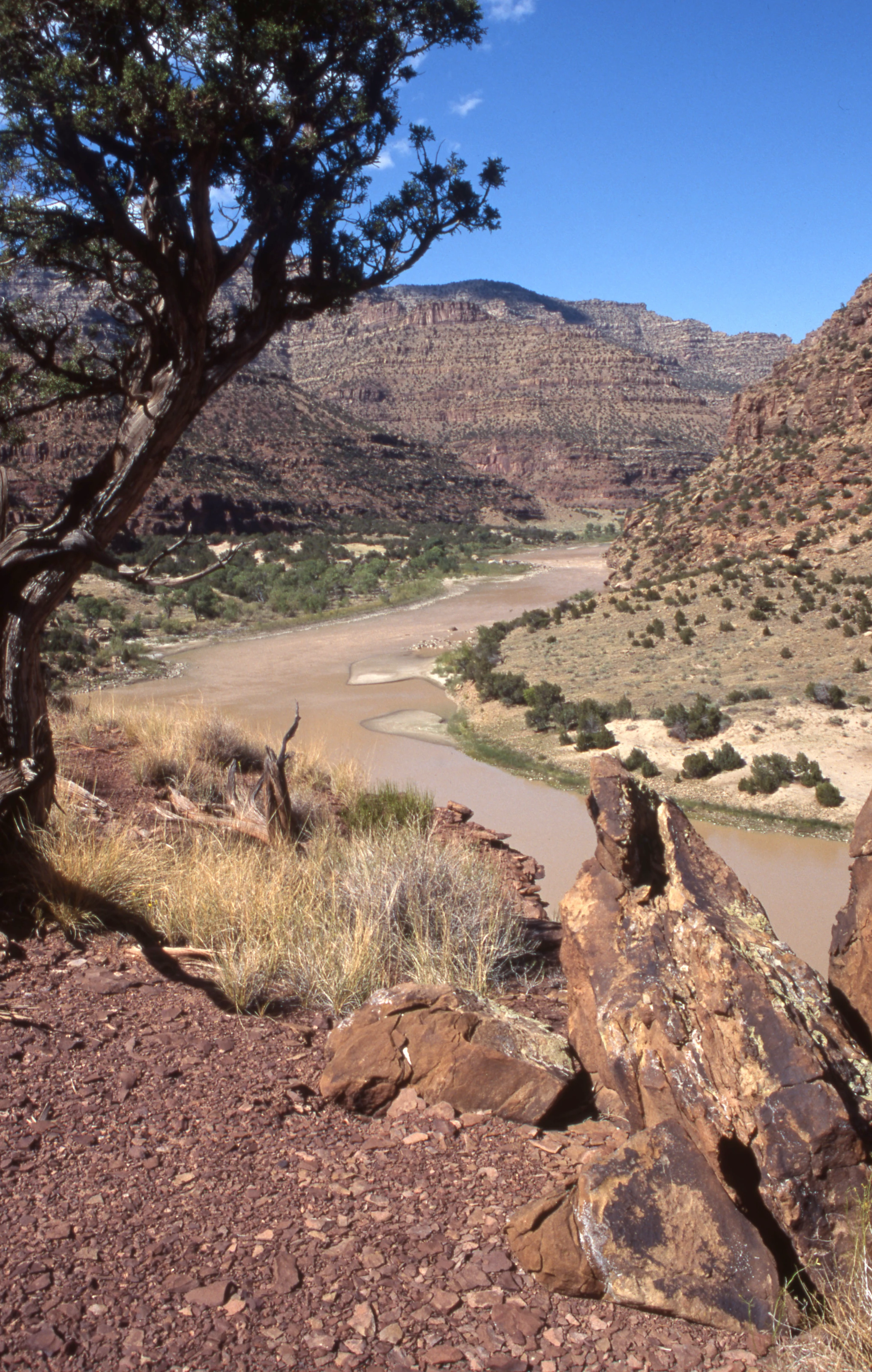 Desolation Canyon Wilderness