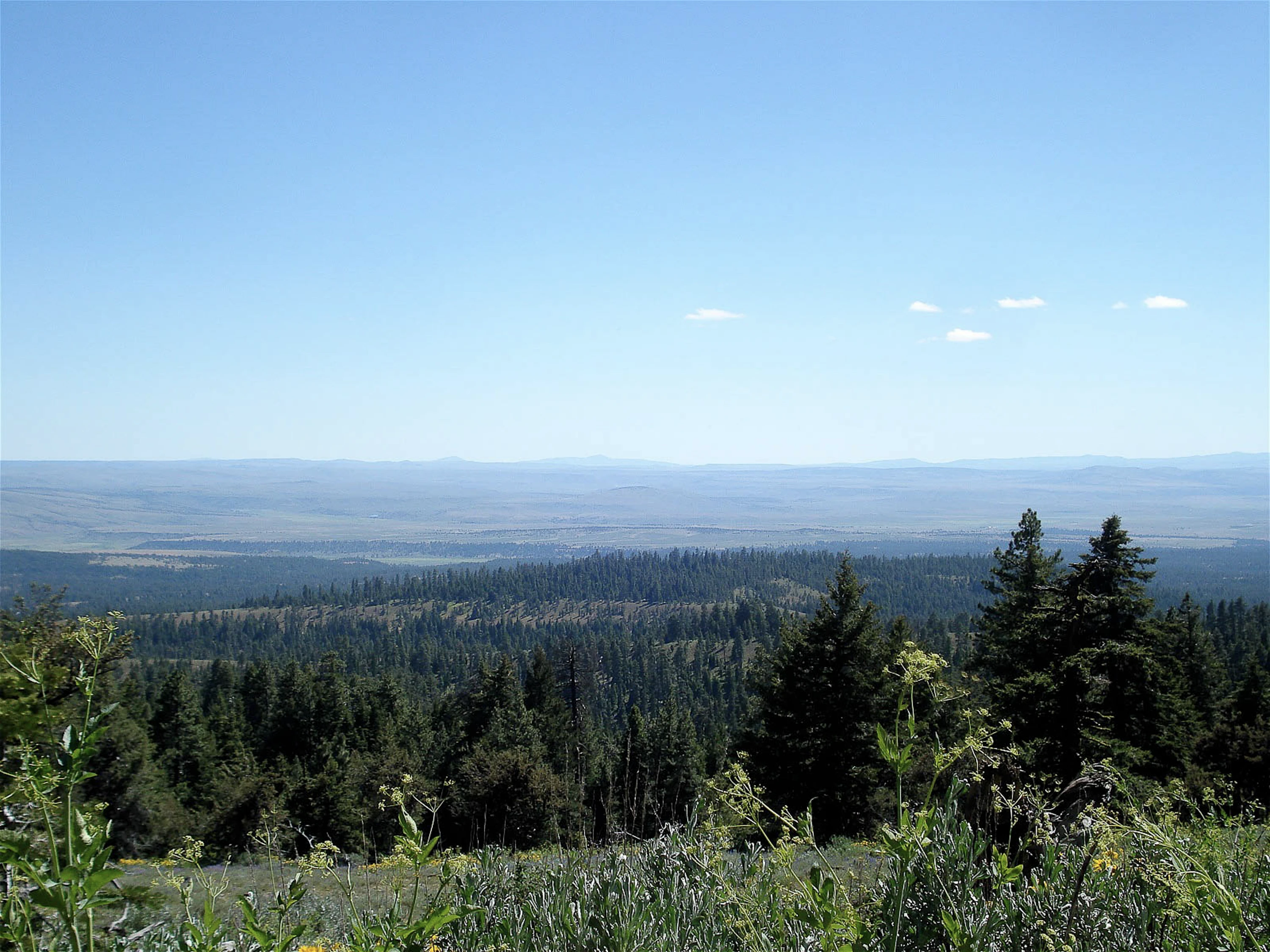 Black Canyon Wilderness
