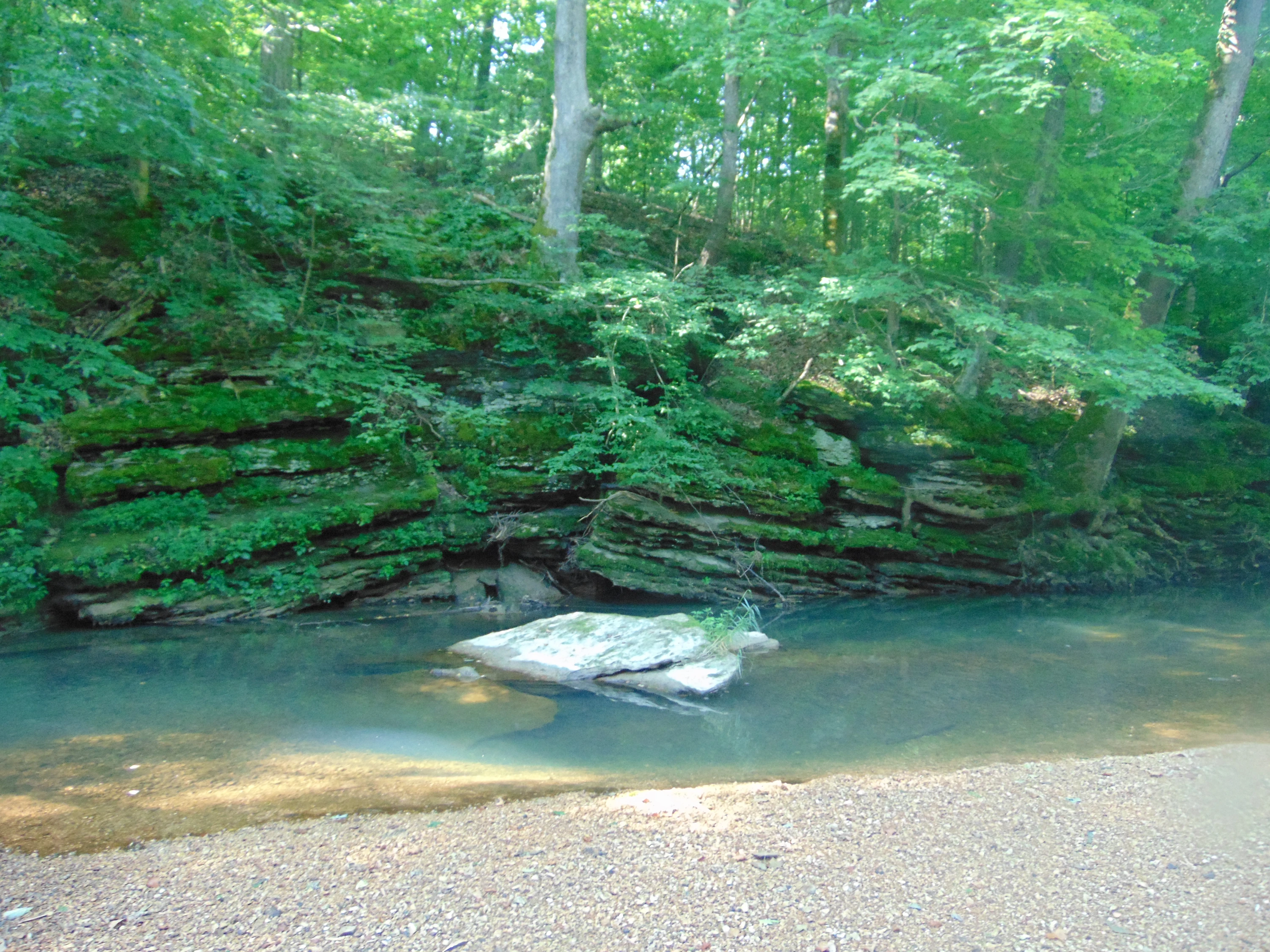 Bald Knob Wilderness