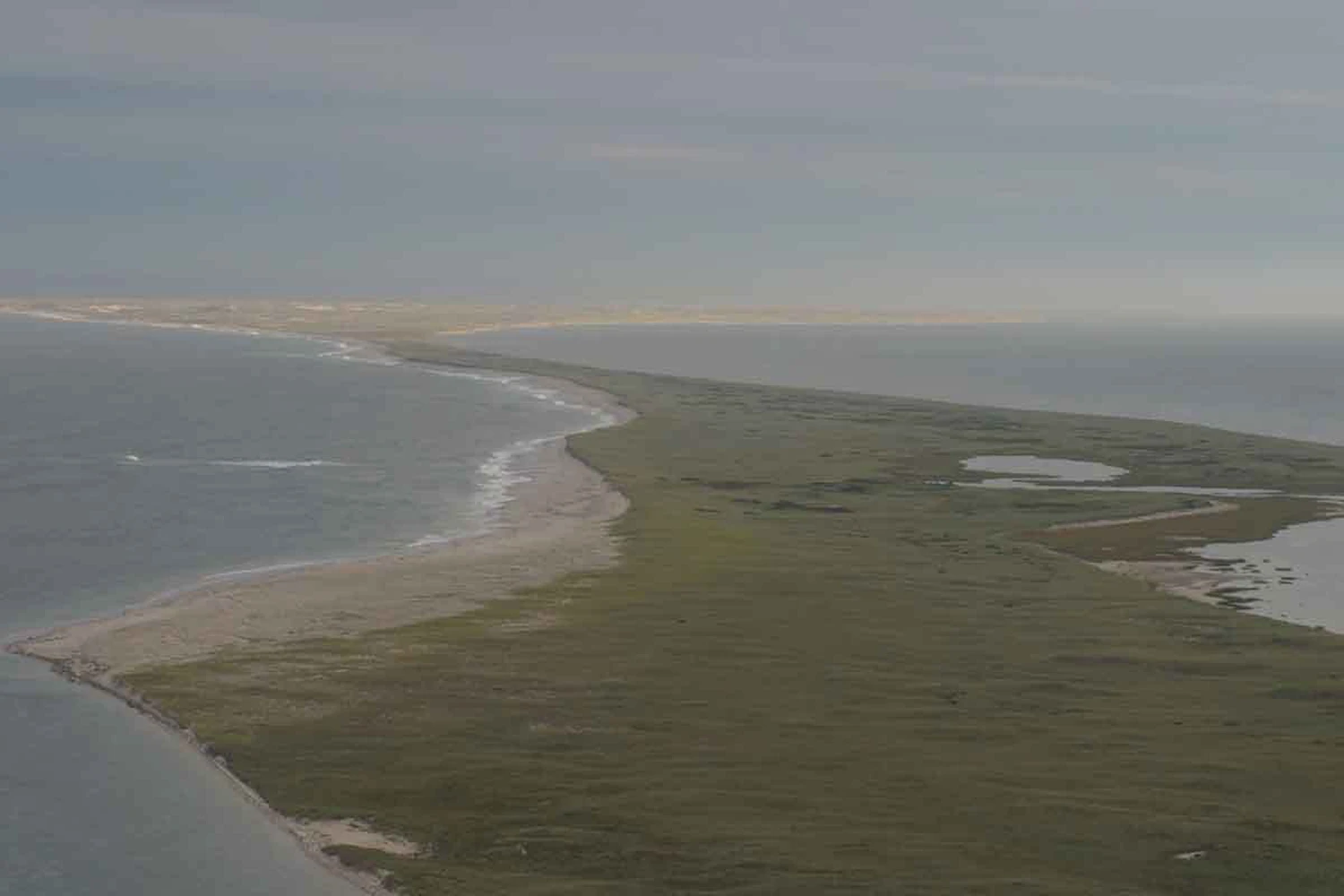 Monomoy Wilderness