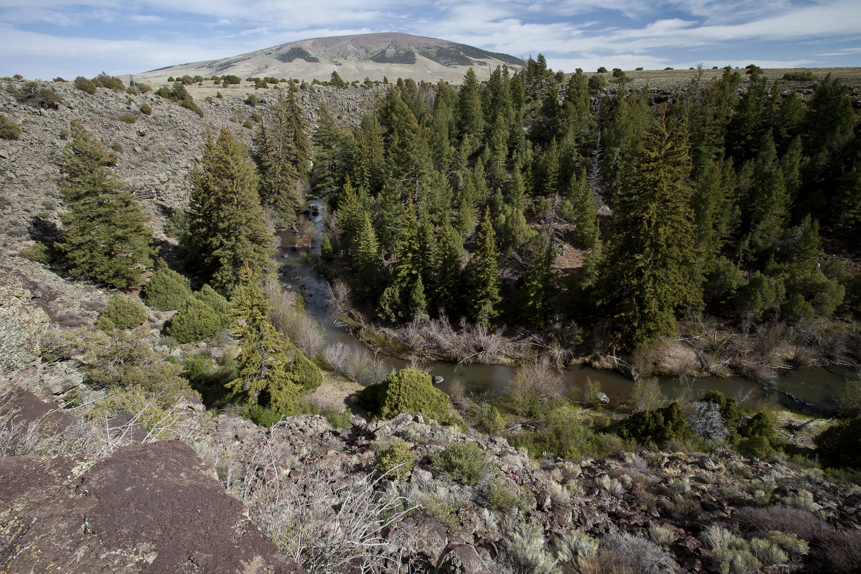 Rio San Antonio Wilderness