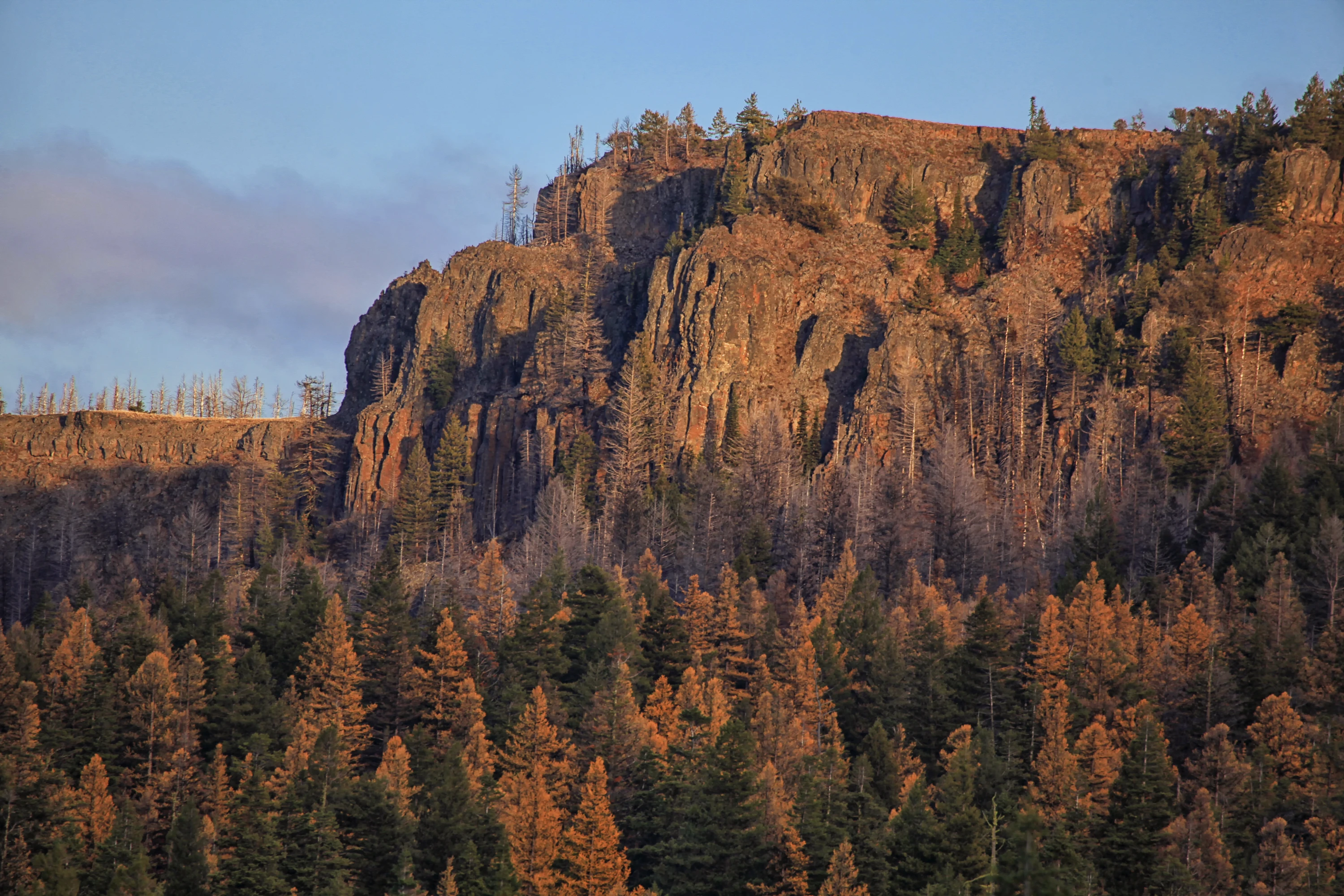 Bridge Creek Wilderness