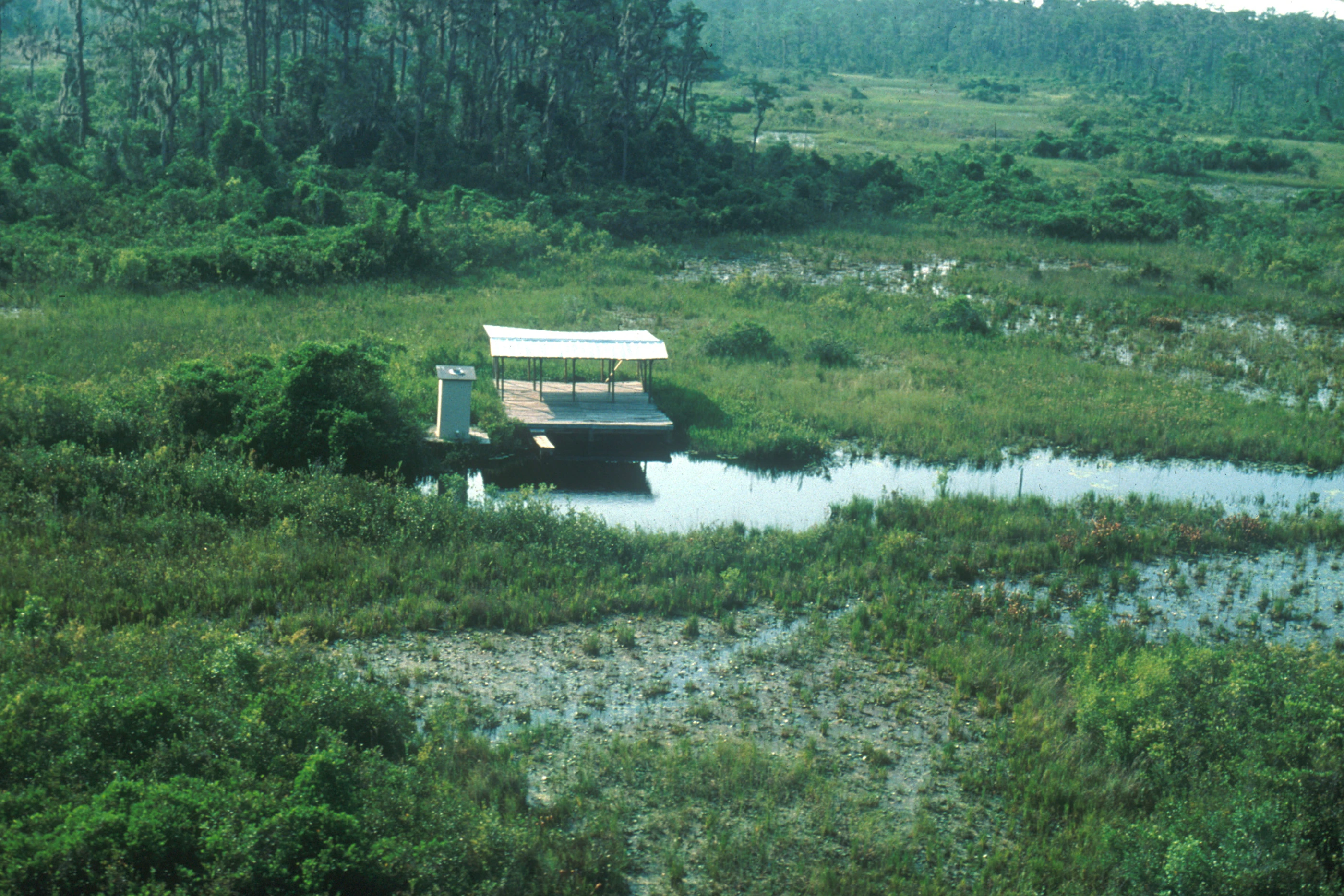 Okefenokee Wilderness