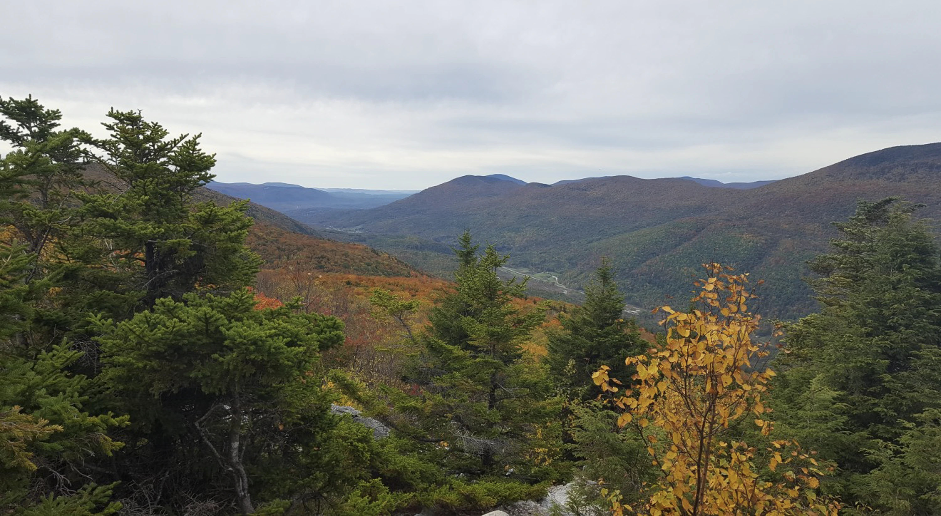 Big Branch Wilderness