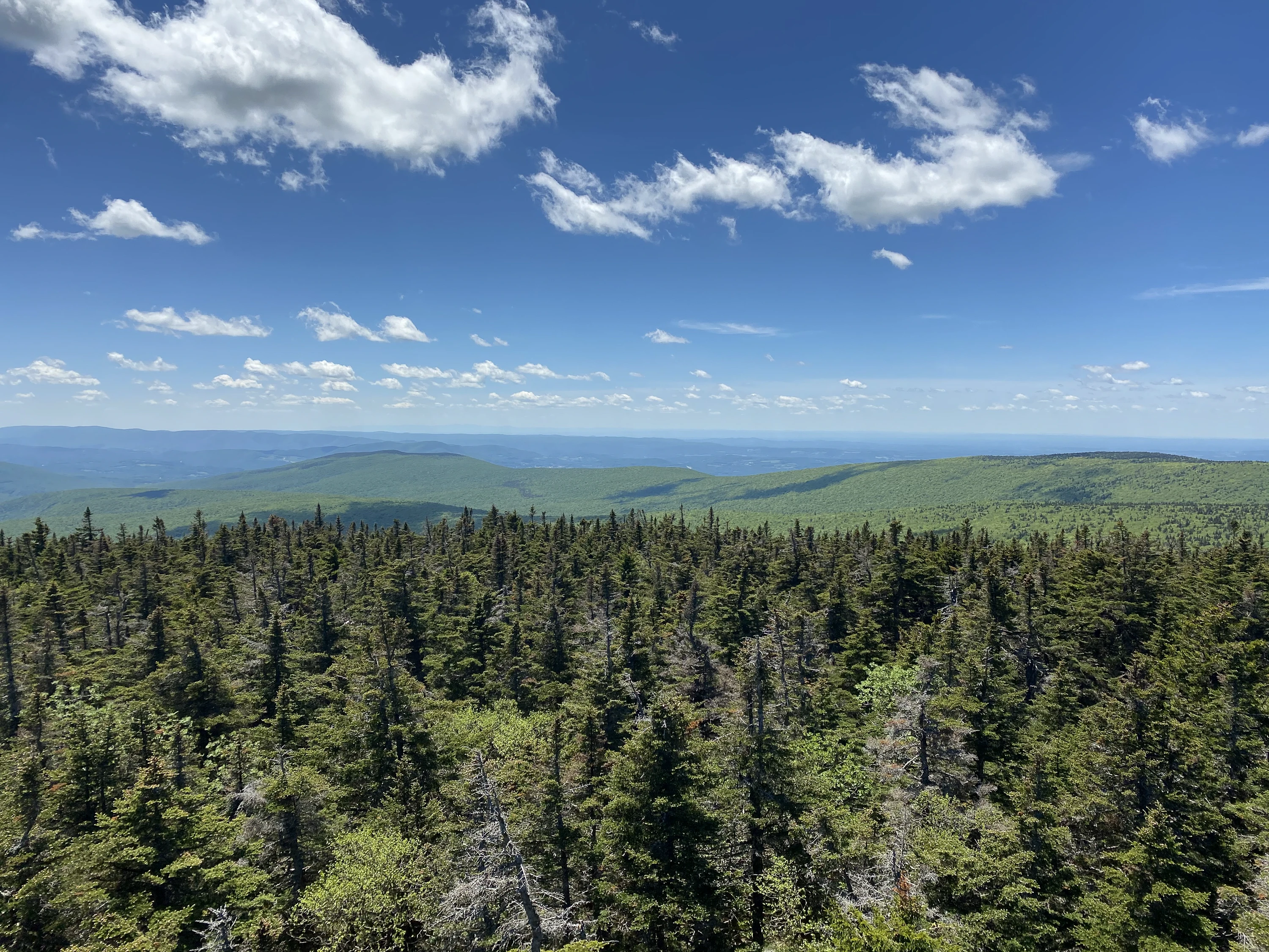 Glastenbury Wilderness
