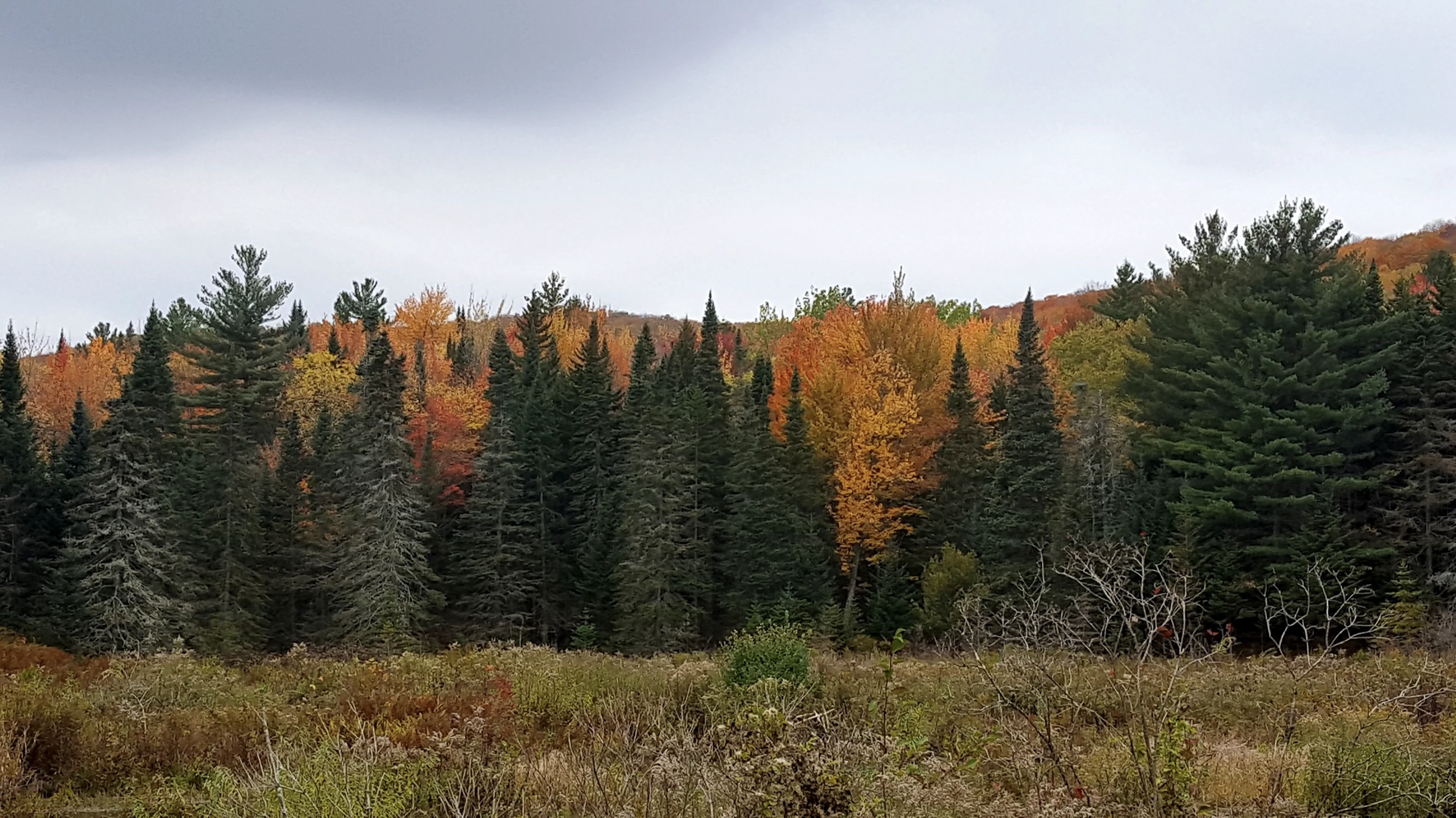 Bristol Cliffs Wilderness
