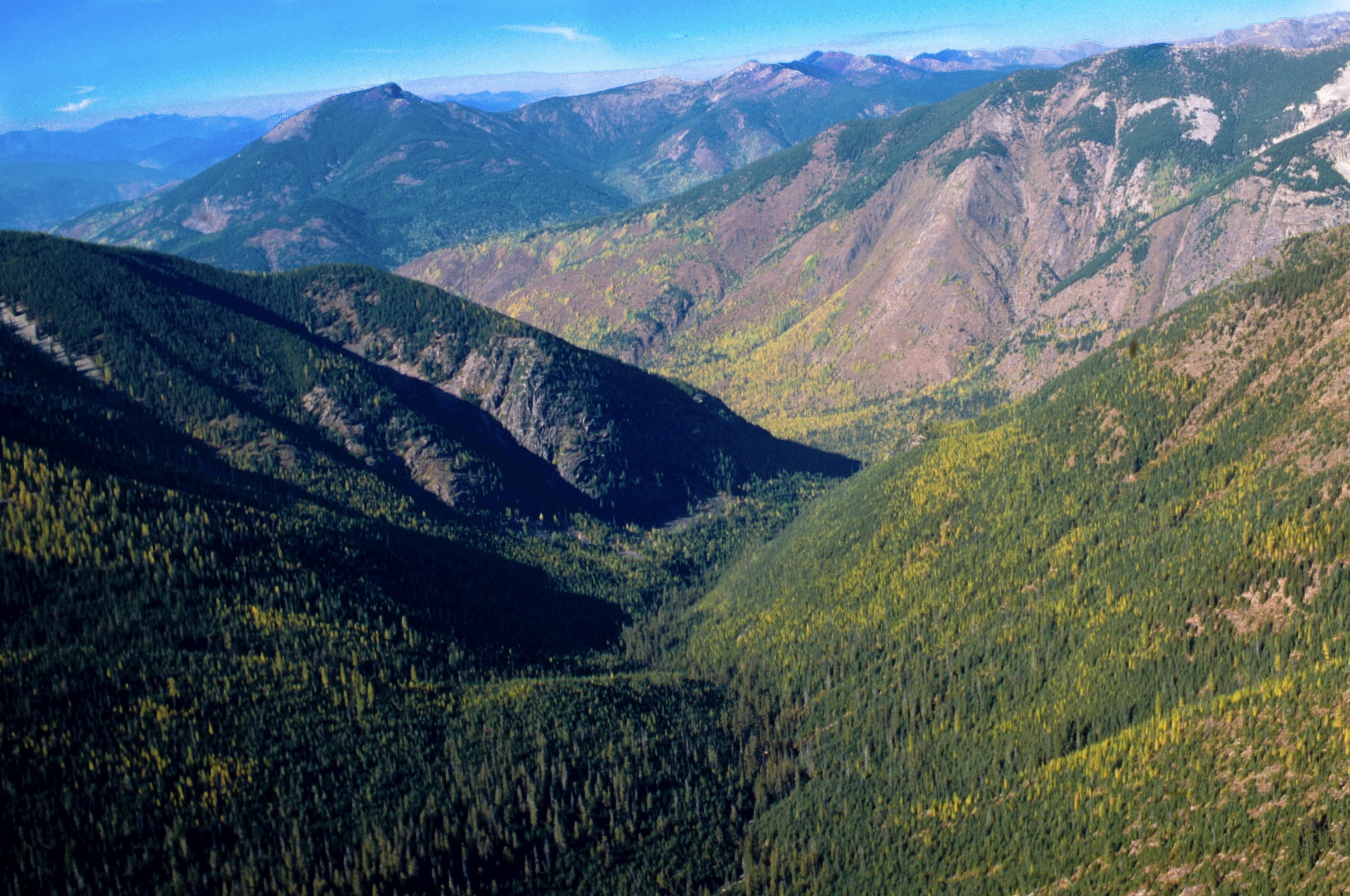 Salmo-Priest Wilderness